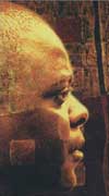 cd cover