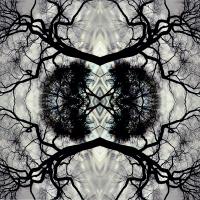 cd cover